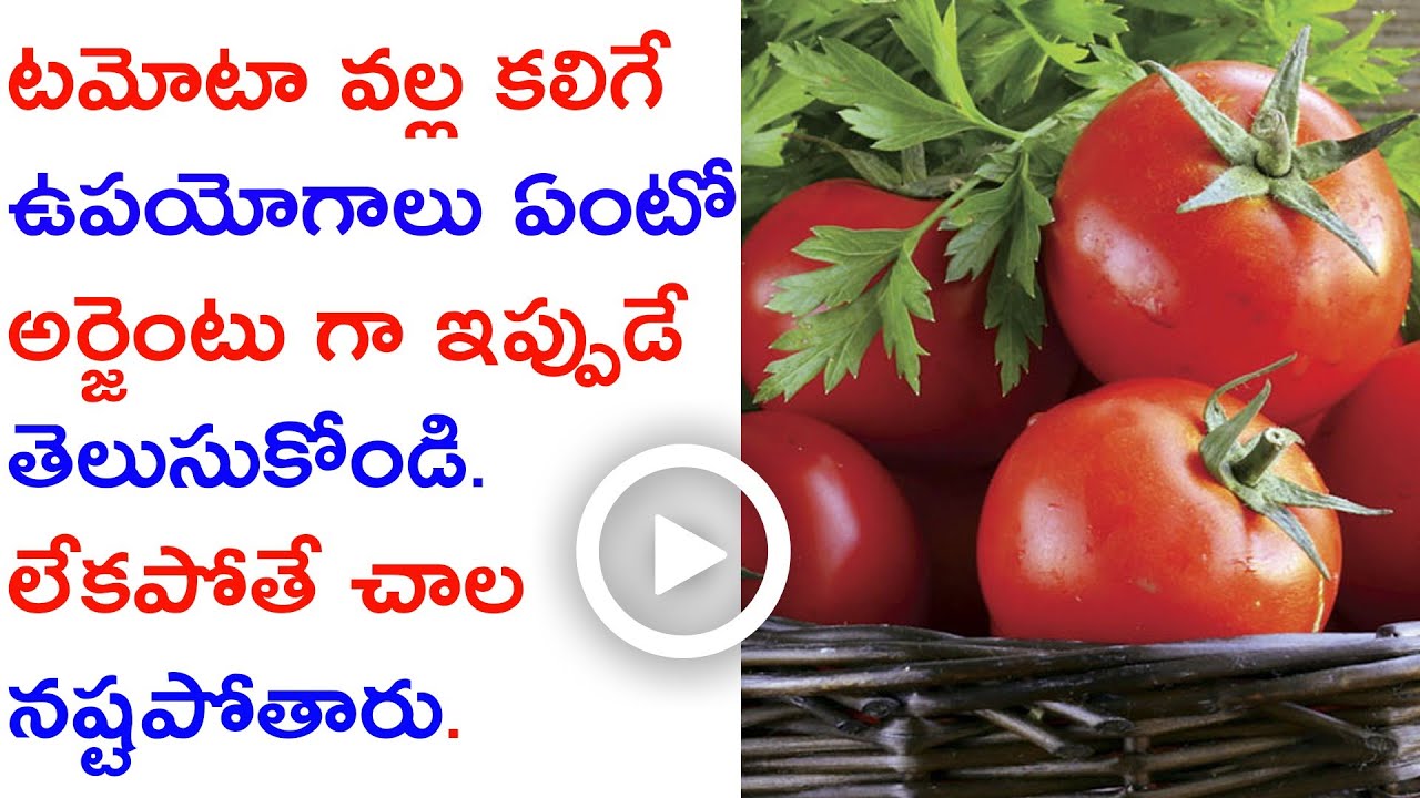 Uses of Tomato in Telugu YouTube