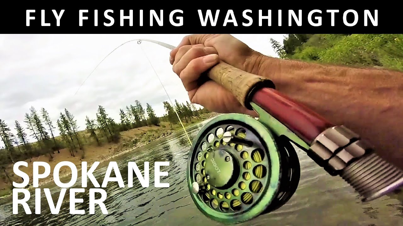 Fly Fishing Washington States Spokane River Below Town in MayTrailer