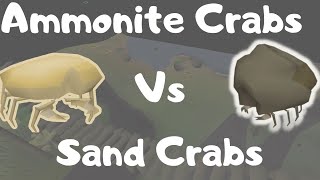 Ammonite Crabs Vs Sand Crabs