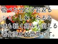 【年齢不詳レベル】これ以上老けたくない人は最低でも週に１度食べてほしいです。