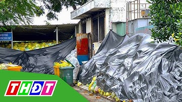 Cà Mau tồn đọng nhiều rác thải y tế chưa xử lý | THDT