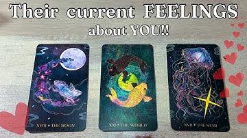 ❤️‍🔥🤔👀 How are they FEELING about YOU??!! DETAILED Pick A Card Love Tarot Reading  * Timeless