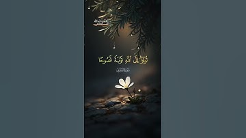 (يَا أَيُّهَا الَّذِينَ آمَنُوا تُوبُوا إِلَى اللَّهِ) #اكسبلور #قرآن #قران_كريم #ترند #لايك #تلاوات