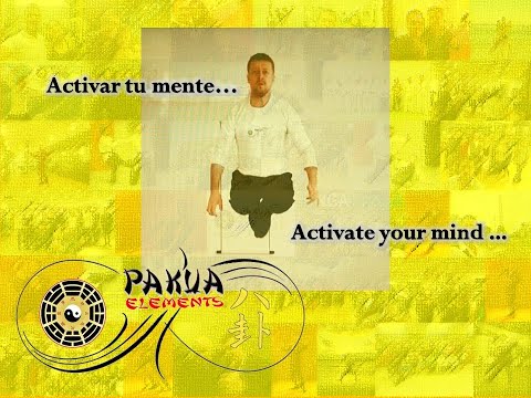 Pakua Elements Nr  12. Activar tu mente  / Activate your mind . . .