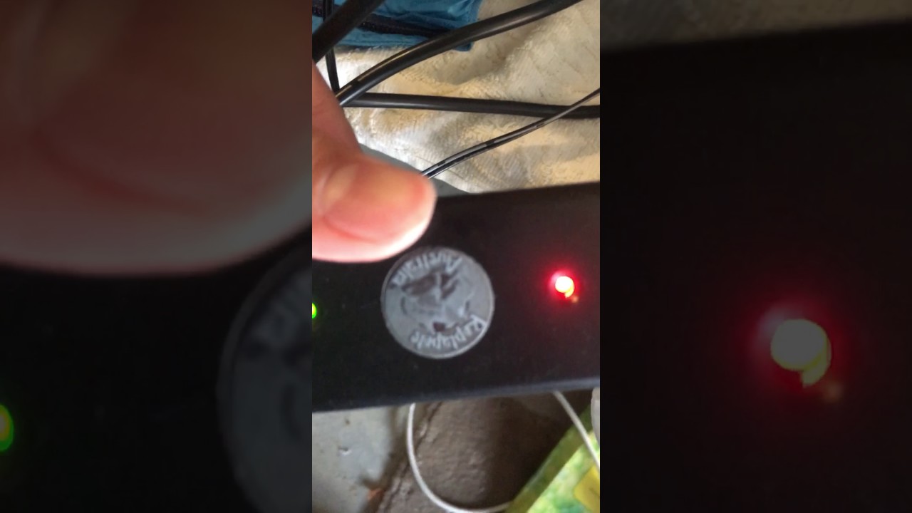 My Black Field Cricket Colony