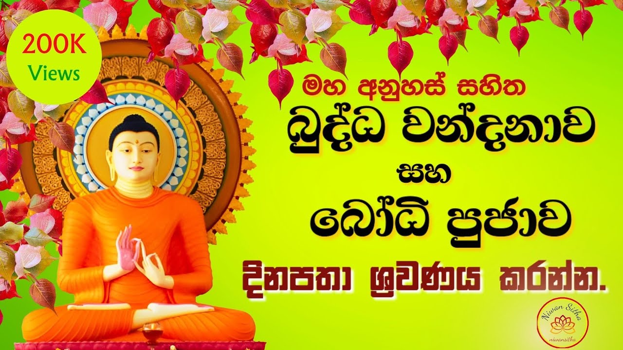Buddha Worship and Bodhi Puja | බුද්ධ වන්දනා සහ බෝධී පුජාව
