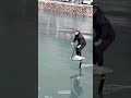 Electric Hydrofoil Board Riding Work Skill Above Water Surface