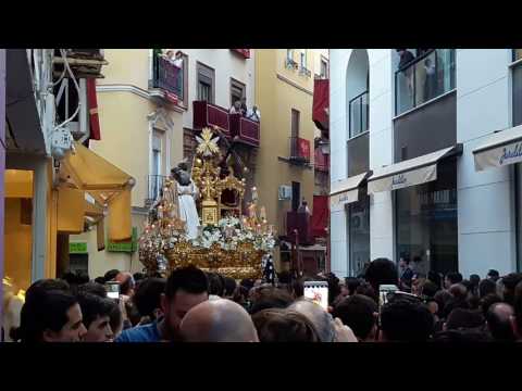 Pontificia, Real, Muy Ilustre y Trinitaria Hermandad Sacramental y Archicofradía de Nazarenos del Sagrado Decreto de la Santísima Trinidad, Santísimo Cristo de las Cinco Llagas, María Santísima de la Concepción, Nuestra Señora de la Esperanza Coronada y San Juan Bosco