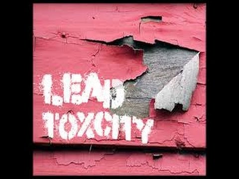 blood test for lead Preventative Measures Exposure, Lead Effects, & Poisoning: