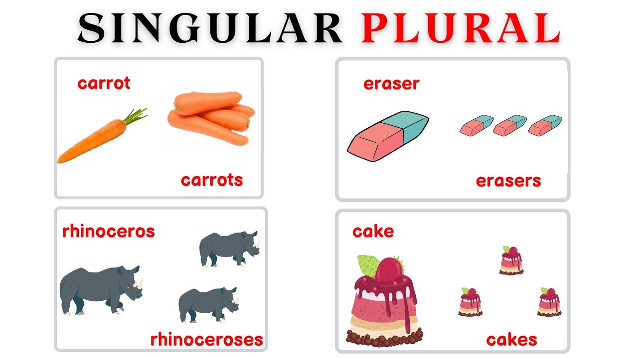One and Many for kindergarten |Singular & Plural Kindergarten |Adding s ...
