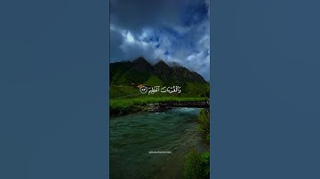 #قران_كريم #السديس #ايات_قرانيه_قصيره #اجر_لي_ولك #ايات_الشفاء #آيات #quran #quran_kareem #آيات