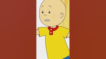 Rosie runs into wall 🧱 😂 #shorts