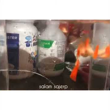 Beautiful Guppies Albino Snakeskin Redtail