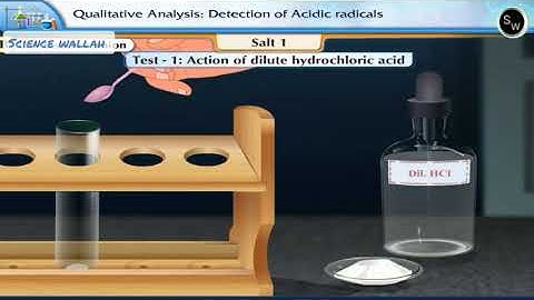 Qualitative analysis : detection of acidic acidic radical Class 11 Chemistry Practical