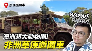 澳洲超大動物園有非洲草原遊園車【狸貓】威勒比動物園 墨爾本