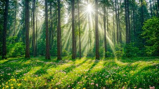 Все ваши тревоги исчезнут, если вы послушаете эту музыку🌿 Расслабляющая музыка успокаивает нервы №2