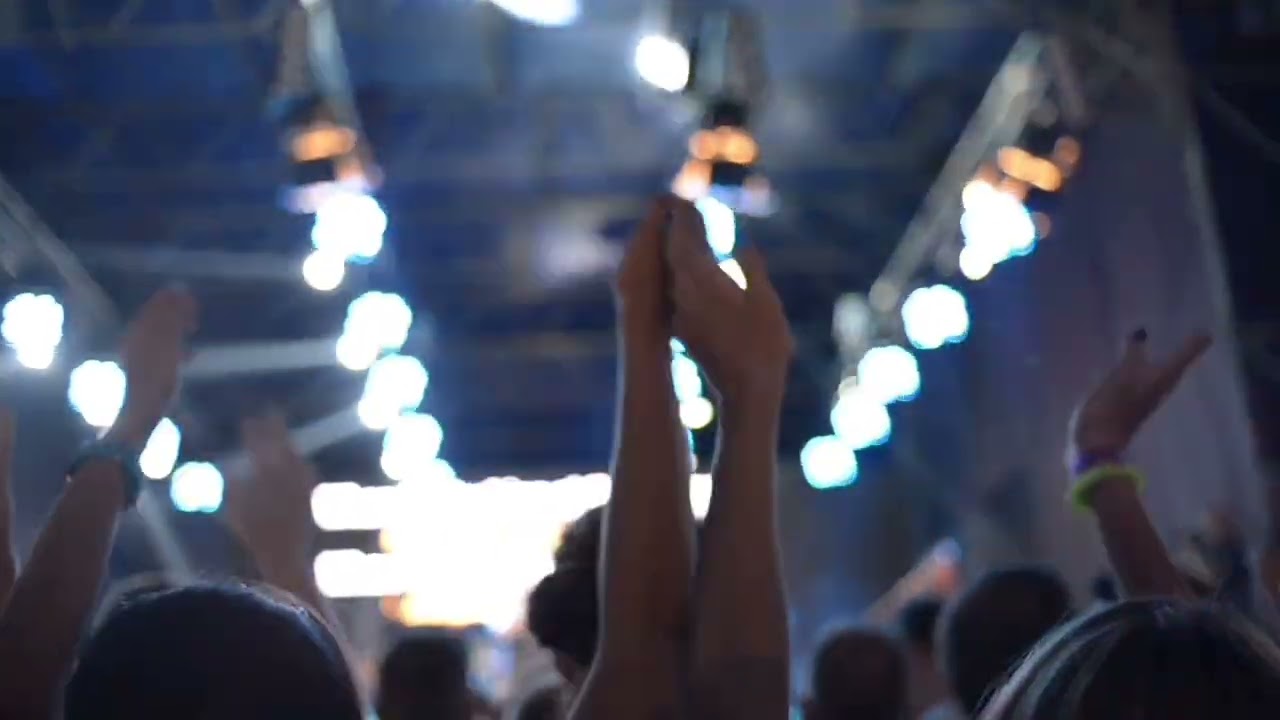 Dj Cipriano & Leo - Mărăcini în loc de creier