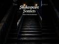 Your Image Lives Within Me | Shakespeare Sonnet 24