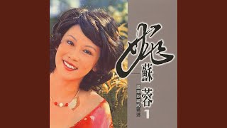 尋夢的人