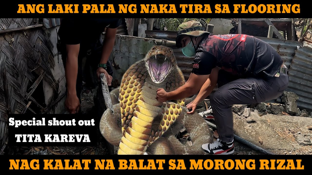 KAMANDAG NG MORONG RIZAL #TOLCOBRA - YouTube