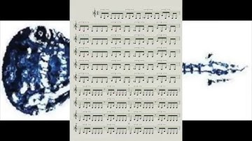 46 and 2 TOOL Page 1 65 bpm Video 69