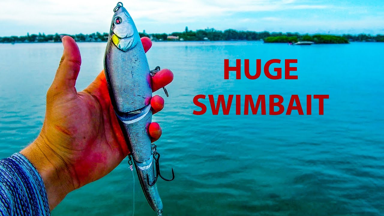 Using HUGE Swimbaits in Saltwater for BIG Fish 