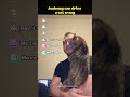 Jealousy Can Drive A Cat Crazy Cat Catfunny Funny Catvideos Jealousy Can Drive A Cat Crazy Cat Catfunny Funny Catvideos