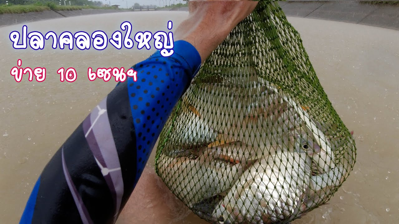 ลงข่ายคลองใหญ่ไซด์ 10 เซนฯ เน้นคุณภาพ