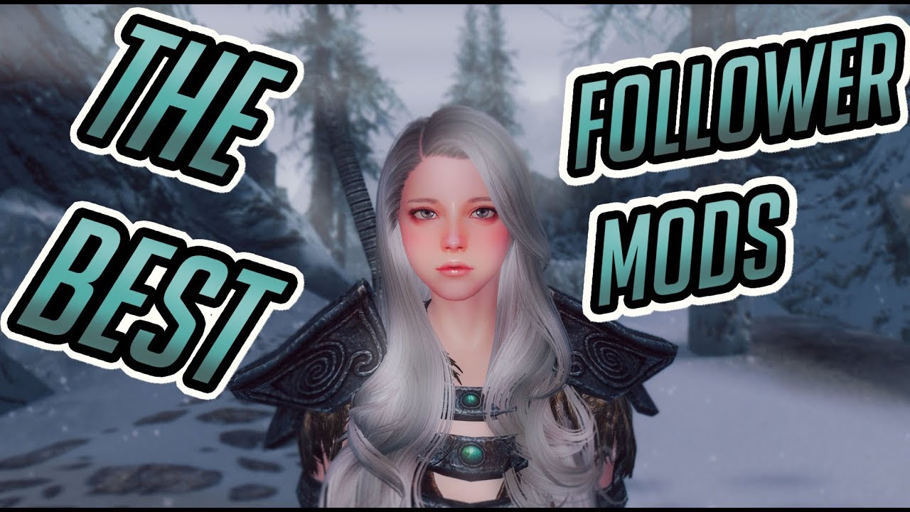 skyrim special edition follower mod