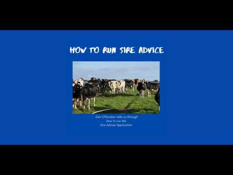 How to: HerdPlus Dairy Sire Advice Plus
