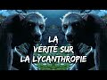 Les loupsgarous dans harry potter  tranges cratures 13