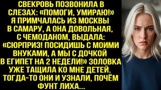 видео: Примчалась из Москвы в Самару спасать свекровь, а там она выдала: «Посидишь внуками, а мы в Египет!» картинка: Примчалась из Москвы в Самару спасать свекровь, а там она выдала: «Посидишь внуками, а мы в Египет!»