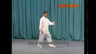 Cheng Style BaGua Mud Wading Step and 8 Palms w Liu JingRu