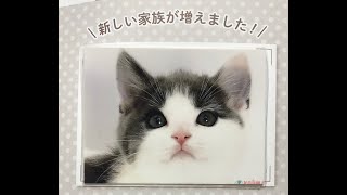 わんぱくちゃん(仮) ＃01【我が家に天使がやってきた！】