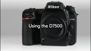 Nikon School: Using the Nikon D7500