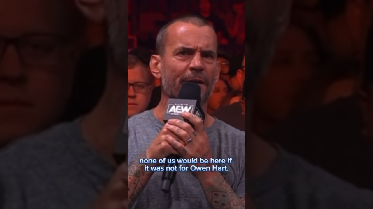 CM Punk Paid Tribute to Bret Hart During AEW Dynamite Match (Video) - SE  Scoops