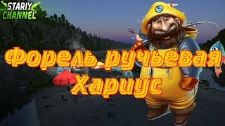 ⏩ФОРЕЛЬ РУЧЬЕВАЯ ХАРИУС⏪Р.БЕЛАЯ(РР4 , RF4)