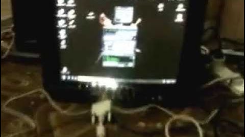 PC Parallel Port & Winamp LED Level