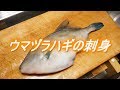 ウマヅラハギのさばき方と刺身(薄造りと肝ポン酢)