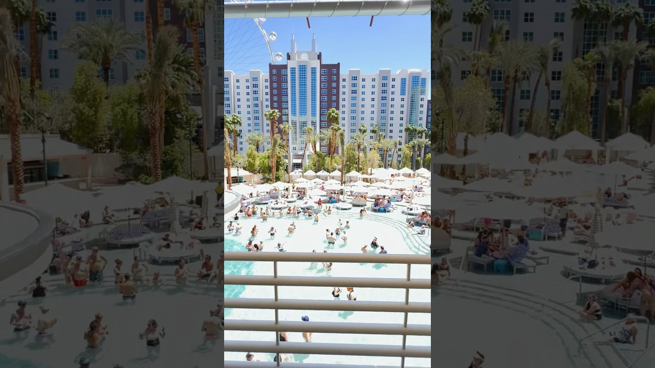 Flamingo Go Pool 2025 In the mix every Monday 12p-5p 