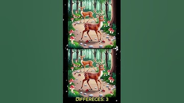 FIND THE 3 DIFFERENCE #43 I Quick-witted gameshow I