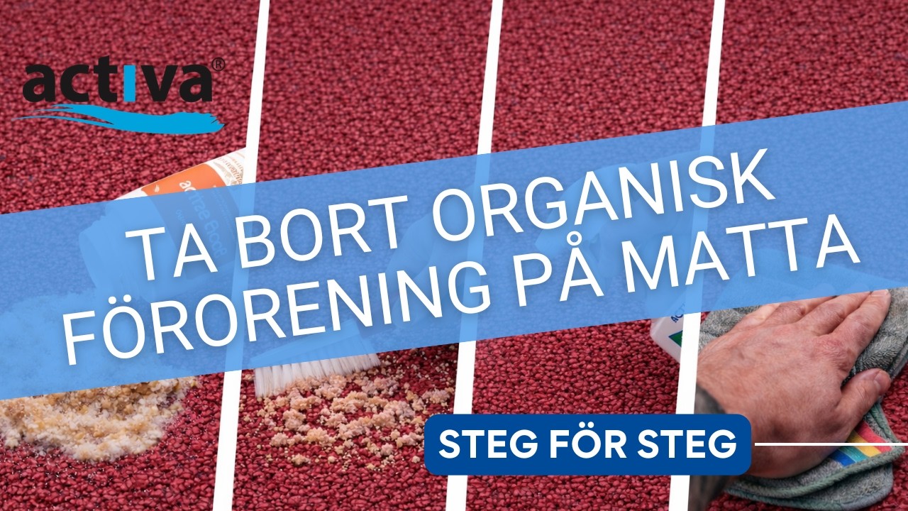 Så tar du bort organisk förorening på matta – professionell metod steg för steg