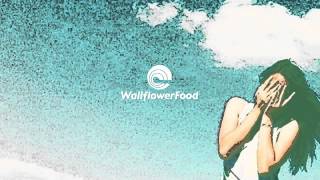 Les Loups - Out of Sight (Free Download Here!)
