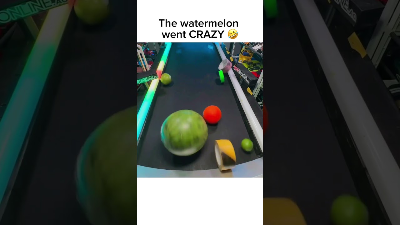 Fruits vs Tapes! Winner stays on 🔥