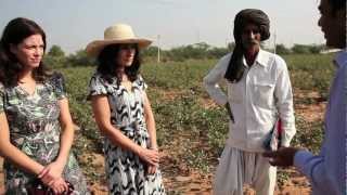 Organic and Fair Trade Cotton | Watch the story behind People Tree products