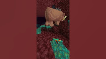 Minecraft NETHER MOBS WEAKNESSES! #shorts