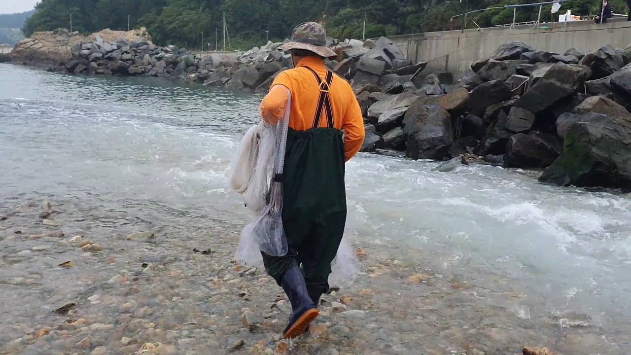 여러분들은 지금 엄청난 장면을 보게 될것입니다!! cast net 투망!