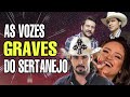 NÃO GOSTO DE VOZES GRAVES NO SERTANEJO?