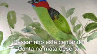 Passarinho (Mestre Irineu) Alain Siverly (Com Letra) chords