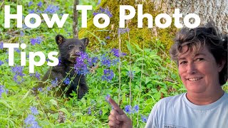 What Makes The Perfect Nature Shot Every Single Time?